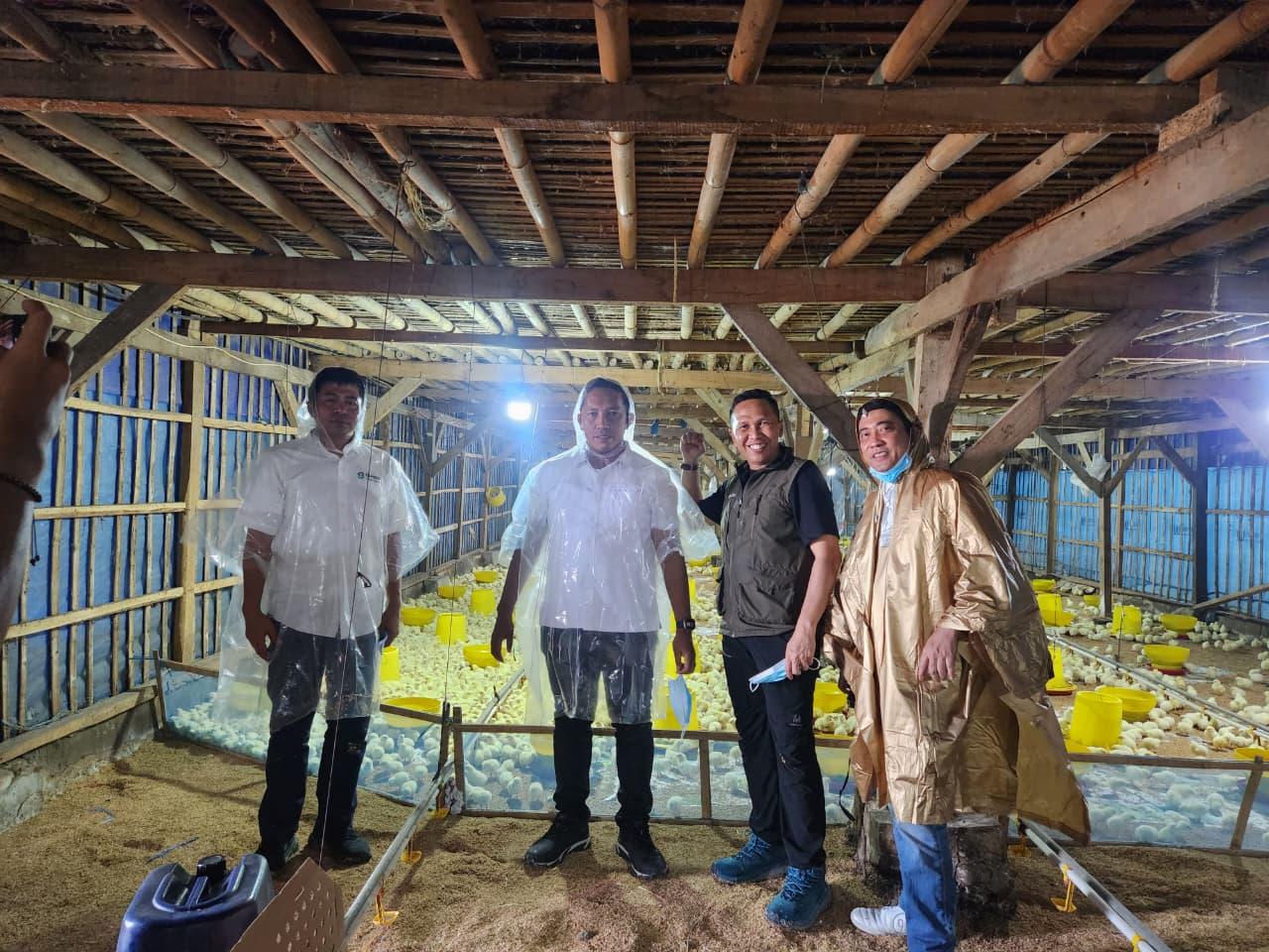 BUMA Holding Resmikan Unit Penggemukan Ayam Broiler di Subang, Dorong Kemandirian Ekonomi Kader dan Masyarakat